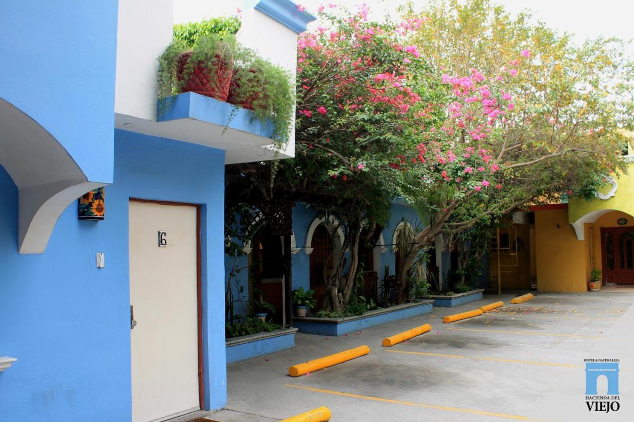 Hotel Hacienda del Viejo Matamoros  Zewnętrze zdjęcie