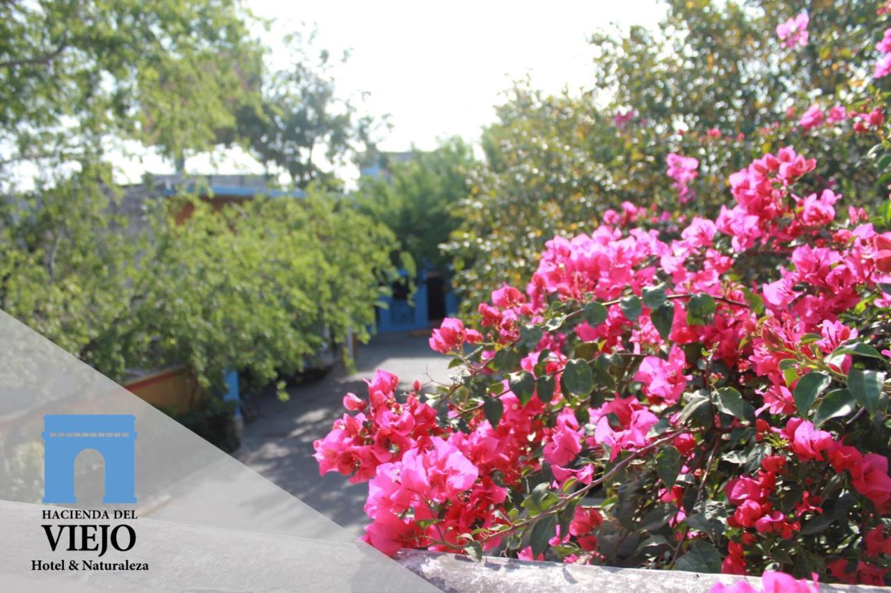 Hotel Hacienda del Viejo Matamoros  Zewnętrze zdjęcie