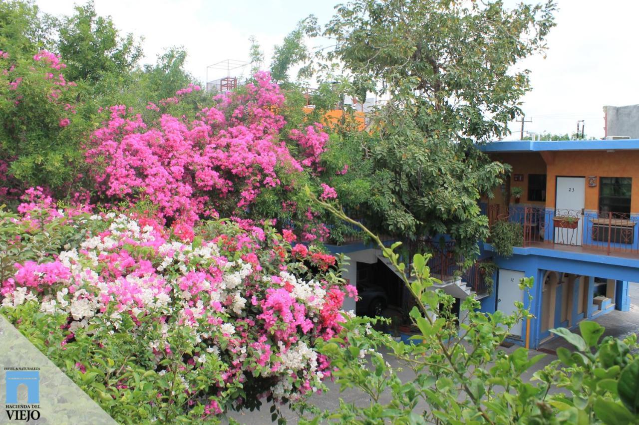 Hotel Hacienda del Viejo Matamoros  Zewnętrze zdjęcie